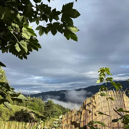 Haus Am Berg * Mühlbach am Hochkönig